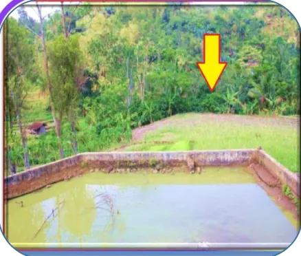 Foto dokumentasi Tanah - Kabupaten Ciamis di Kabupaten Ciamis dari 31 AGUSTUS KPKNL TASIKMALAYA.pdf