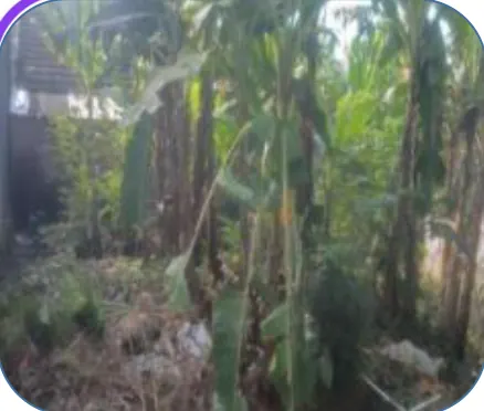 Foto dokumentasi Tanah - Kabupaten Lebak di Kabupaten Lebak dari 31 AGUSTUS KPKNL SERANG.pdf